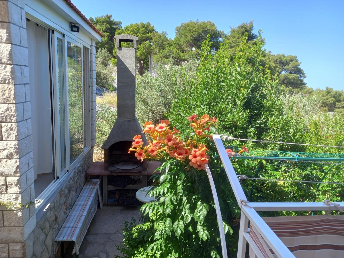 Apartmani Vesna Milisa Primošten Exteriér fotografie